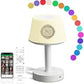 Telawah Quran Speaker Desk Lamp – 2-in-1 Lamp & Quran Player