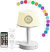 Telawah Quran Speaker Desk Lamp – 2-in-1 Lamp & Quran Player